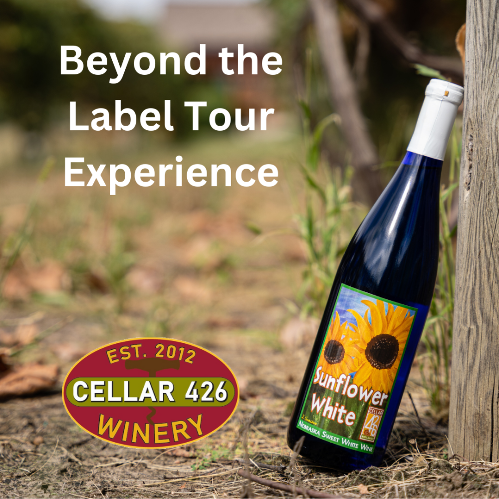 wine bottle in the vineyard