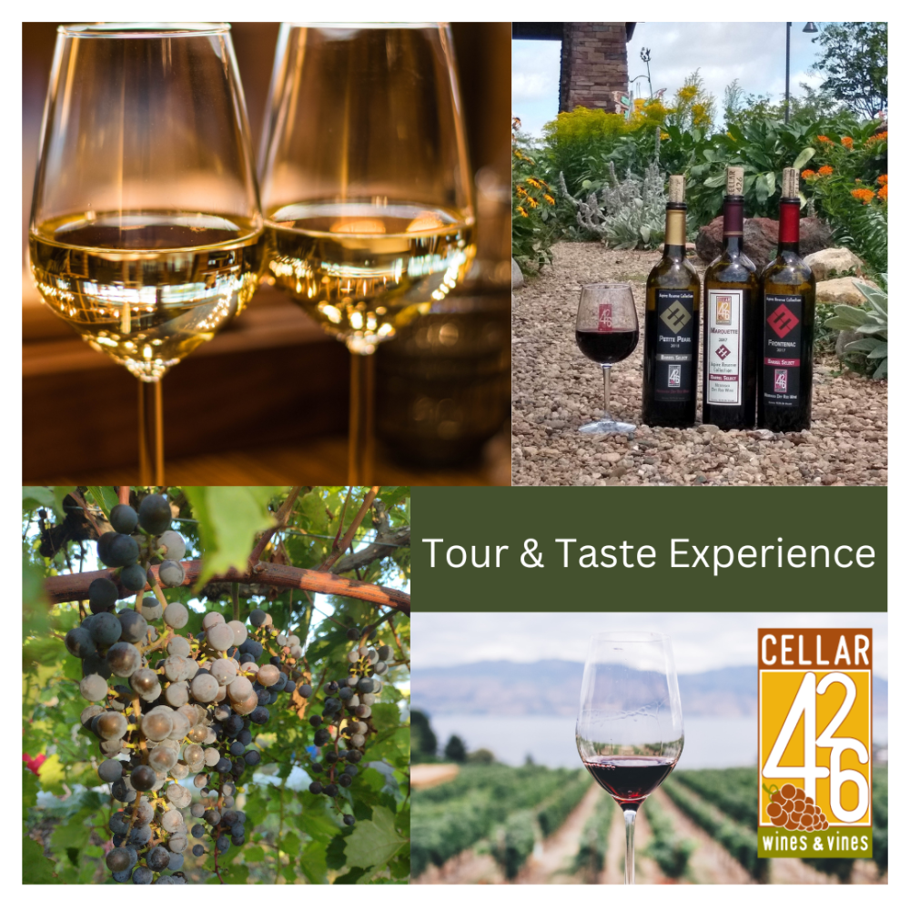 Tour & Taste Experience - Sold Out | Cellar 426 - Vineyard, Winery ...