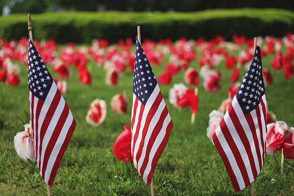field of tulips with american flags