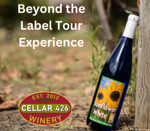 wine bottle in the vineyard