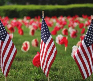 field of tulips with american flags